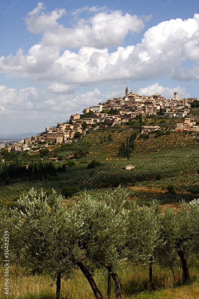 Obraz premium Trevi, paesaggio tra gli ulivi