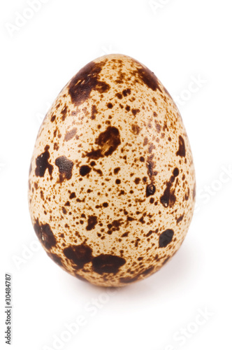 egg quail isolated on white background
