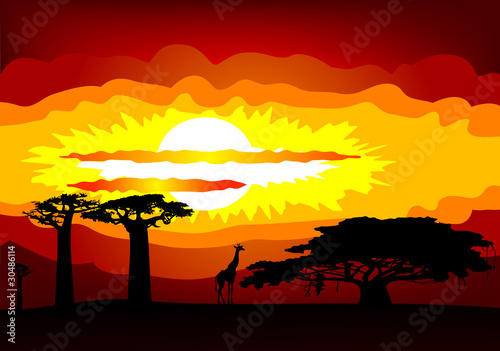 Africa sunset - vector