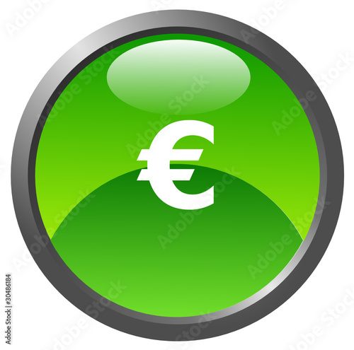 Euro glossy icon