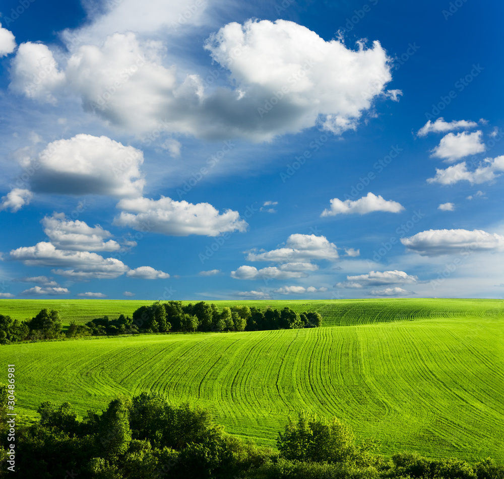 Fototapeta premium beautiful summer landscape and cloudy sky