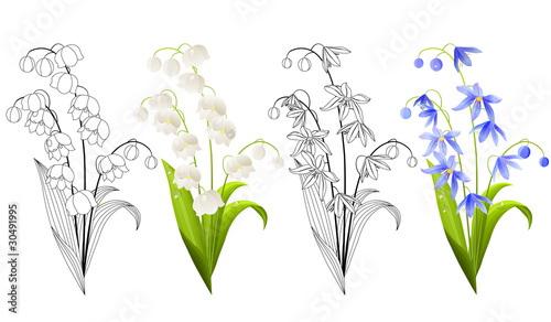 Collection of spring flowers isolated on white background