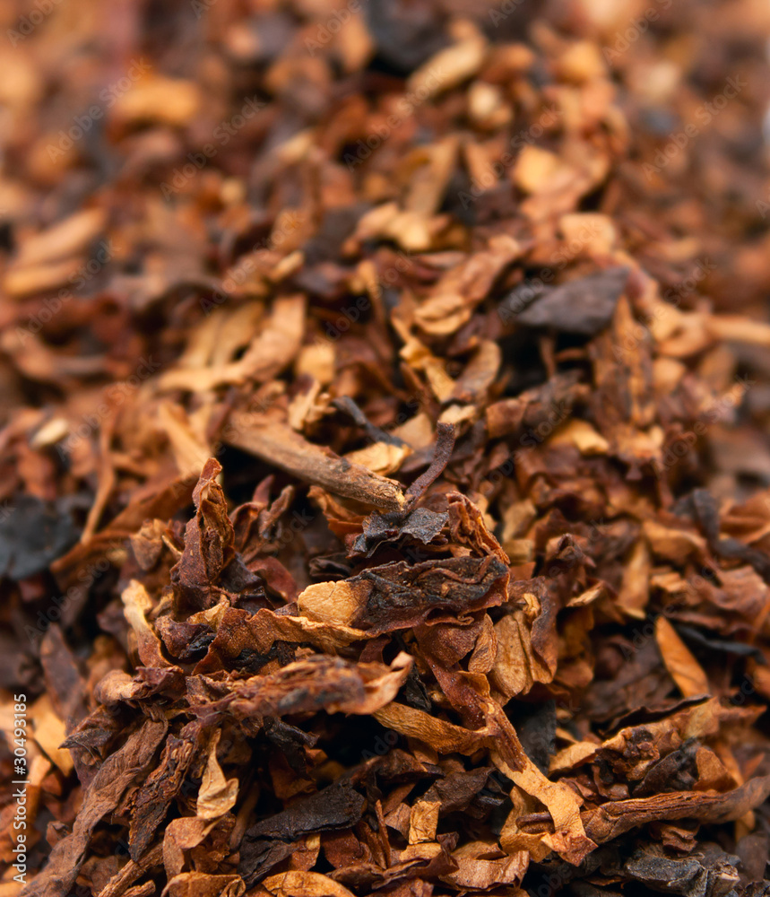 Dry tobacco close-up Dry tobacco close-up