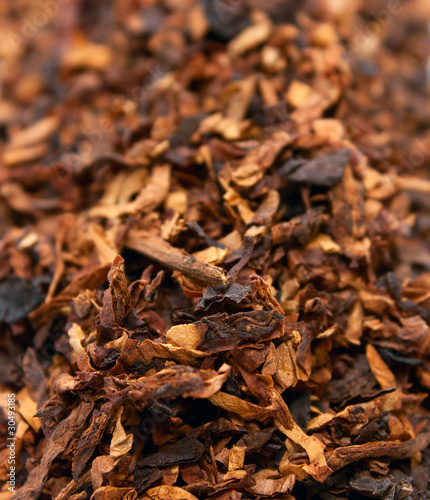 Dry tobacco close-up
