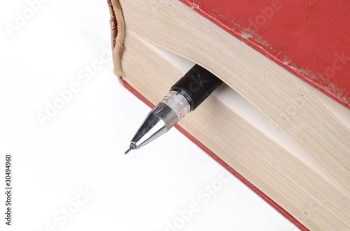 Dictionary and pen