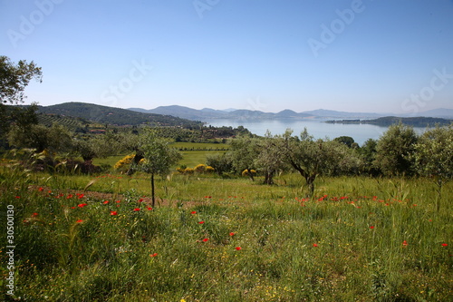 Umbria, paesaggio incontaminato del lago Trasimeno photo