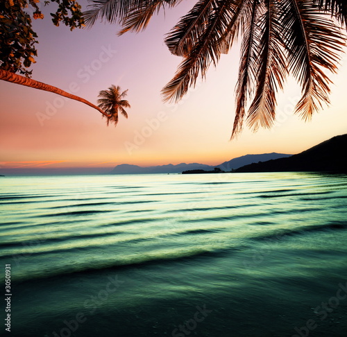 Canvas Print Tropical beach