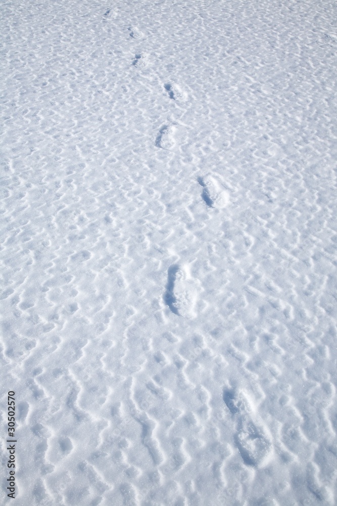 footprints on snow footprints on snow