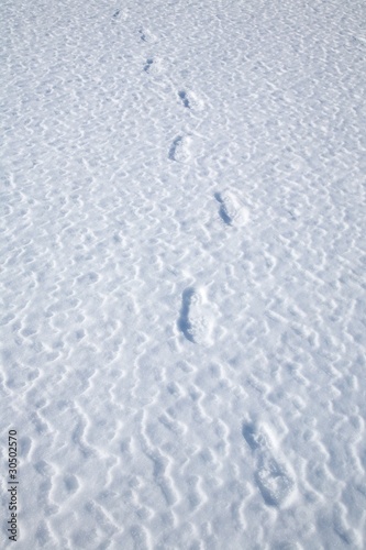 footprints on snow