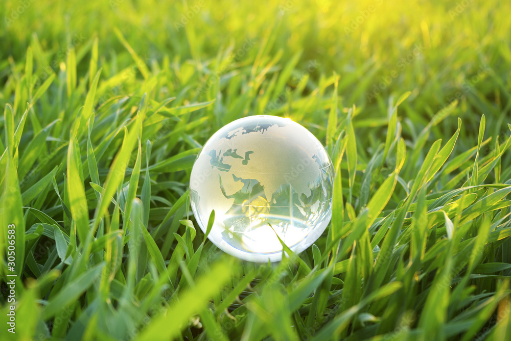 globe in grass globe in grass