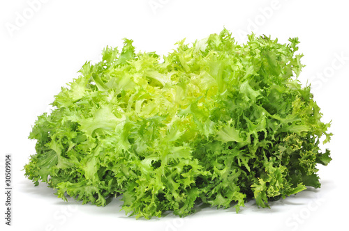 escarole endive