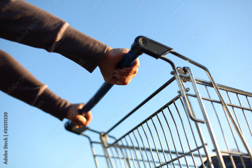 go shoping go shoping