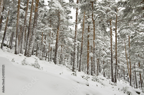 Puerto de Navacerrada