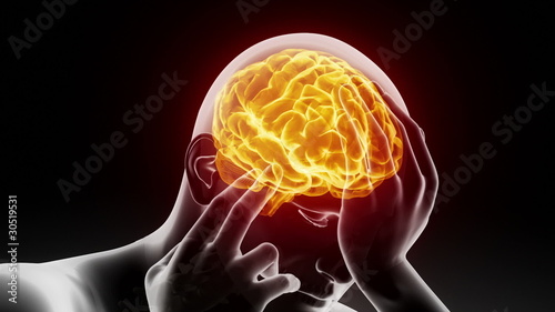 From spine to brain journey