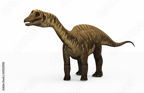Diplodocus dinosaur © George Bailey
