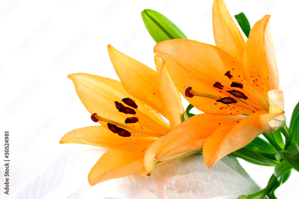 Lily flowers on white towels Lily flowers on white towels