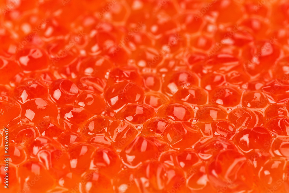 Red salmon caviar texture background Red salmon caviar texture background