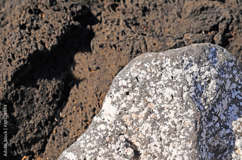 Different kinds of volcanic stone,Tenerife, shallow dof Different kinds of volcanic stone,Tenerife, shallow dof