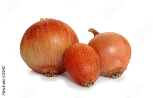 Wallpaper Mural onions Torontodigital.ca