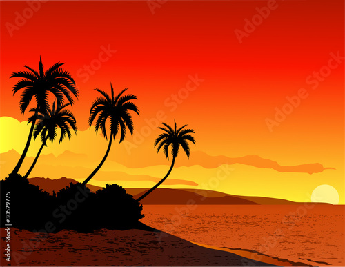 tropical beach background