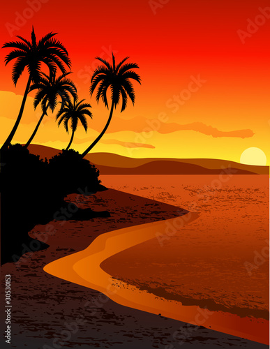 Tropical beach sunset #30530153
