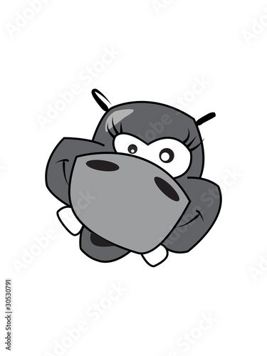 Happy Cartoon Hippo