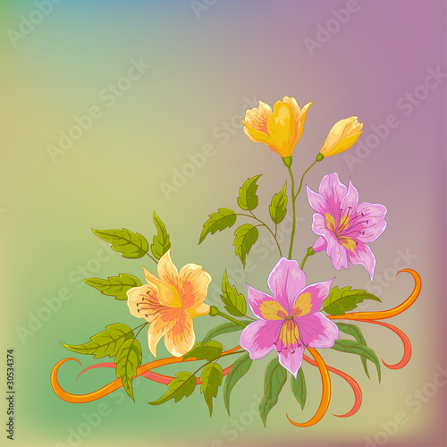 Fototapeta Naklejka Na Ścianę i Meble -  Flower background, alstroemeria