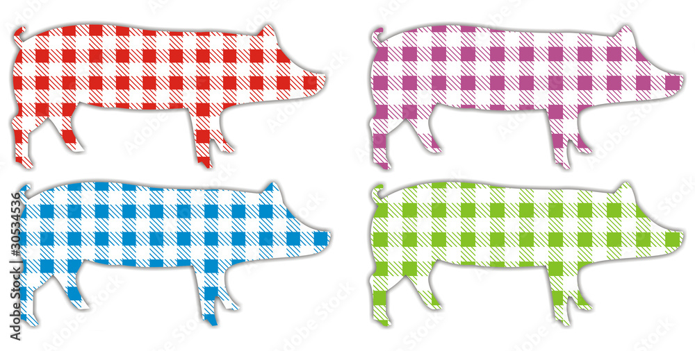 schwein kariert