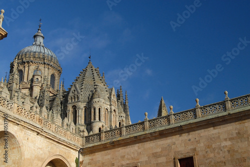 Detalle de la catedral de Salamanca