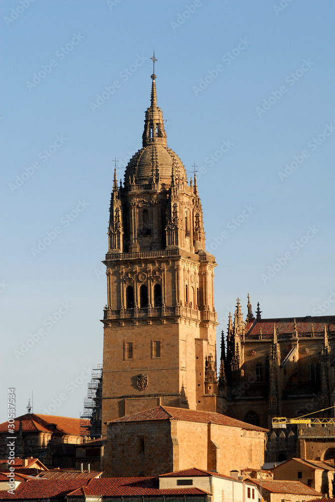 Fototapeta premium Torre de la catedral de Salamanca