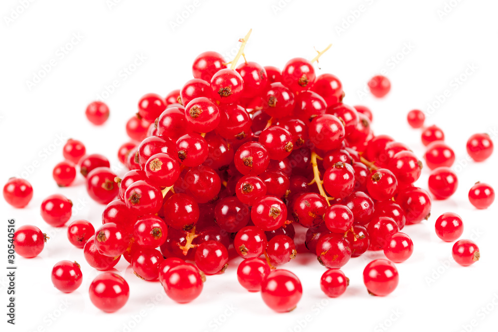 Red currant Red currant