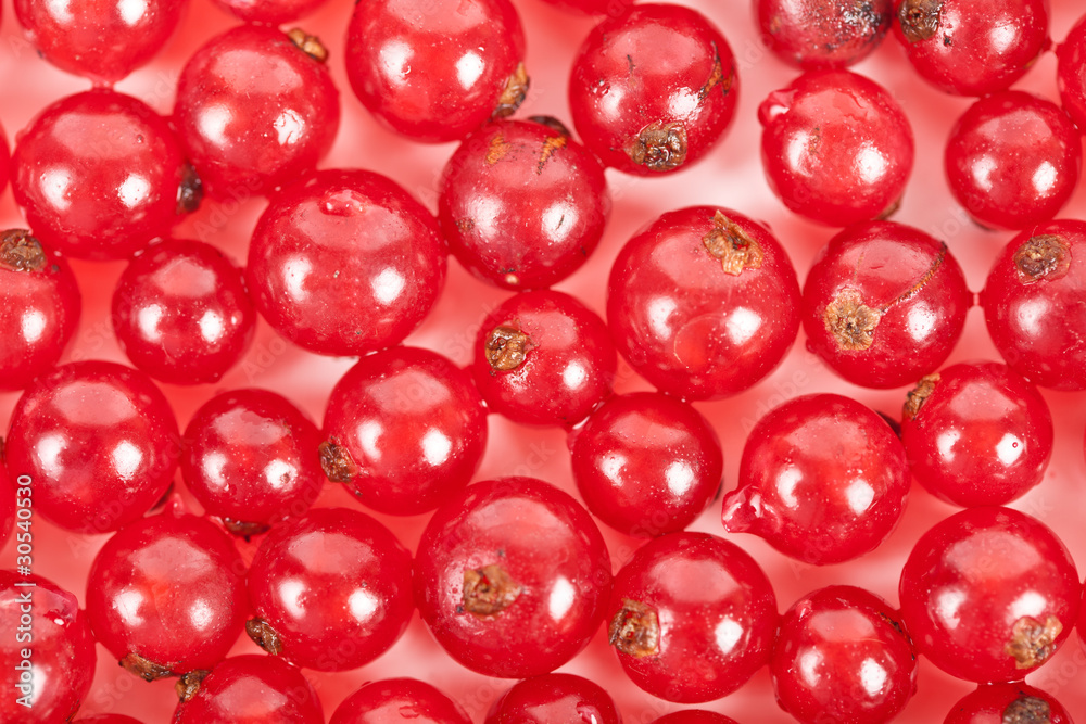 Red currant Red currant