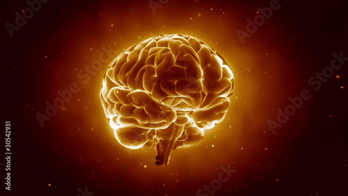 Pulsing human brain in loop