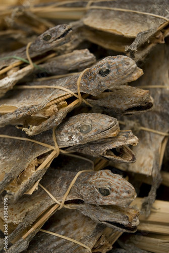 dried lizards in market singapore asia