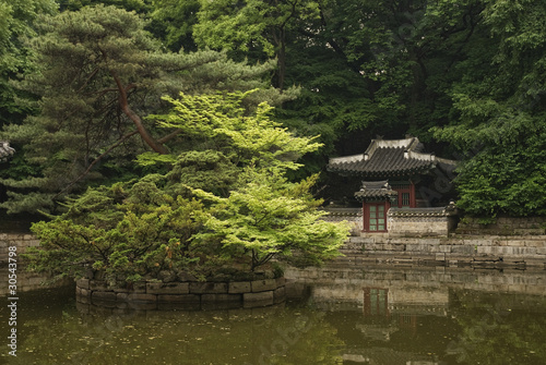 Photography seoul south korean temple in traditional forest gardens