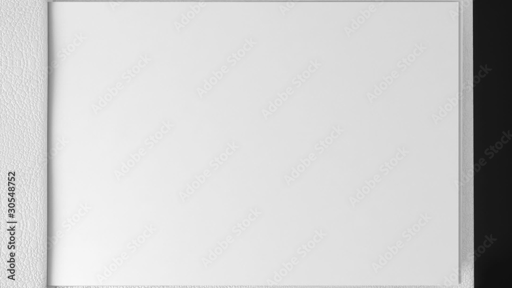 White blank book