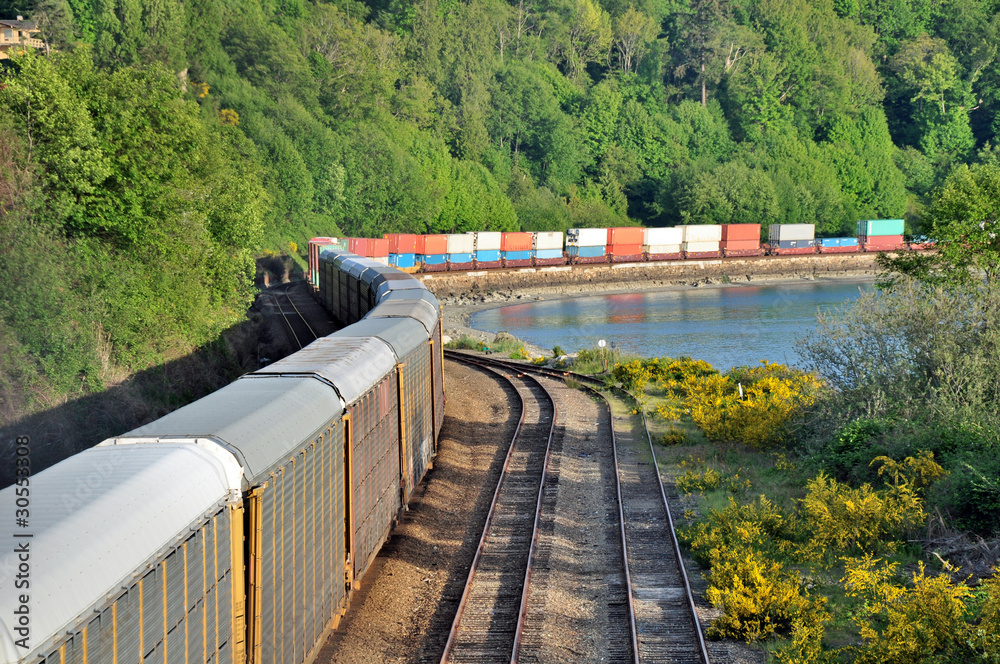 Fototapeta premium Freight train