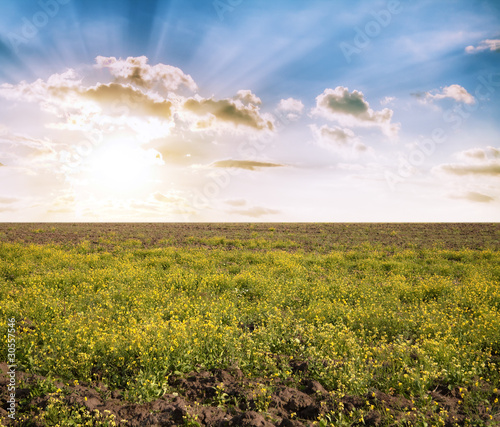 Fotografi loam ground