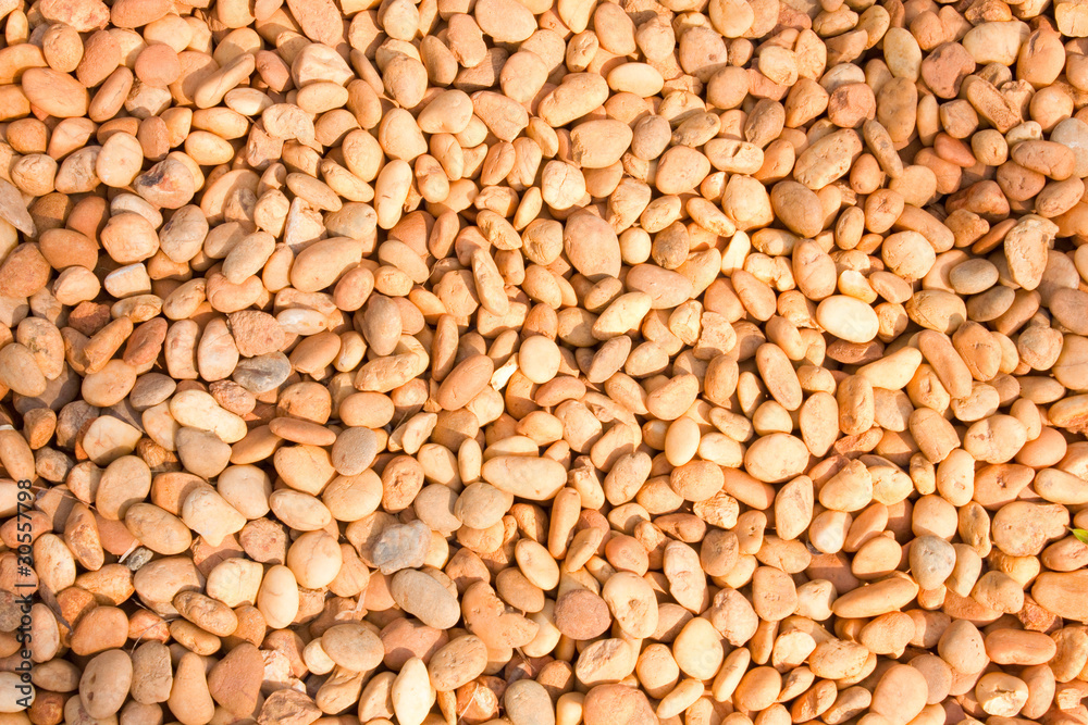 Naklejka premium The Pebble floor background texture