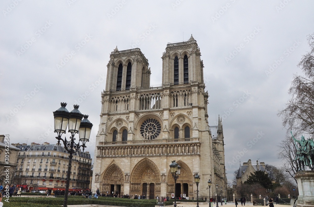 Fototapeta premium notre dame de paris