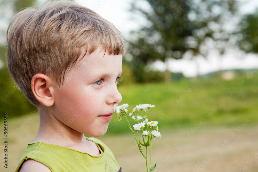 Boy smelling wild flowers in summer day Boy smelling wild flowers in summer day