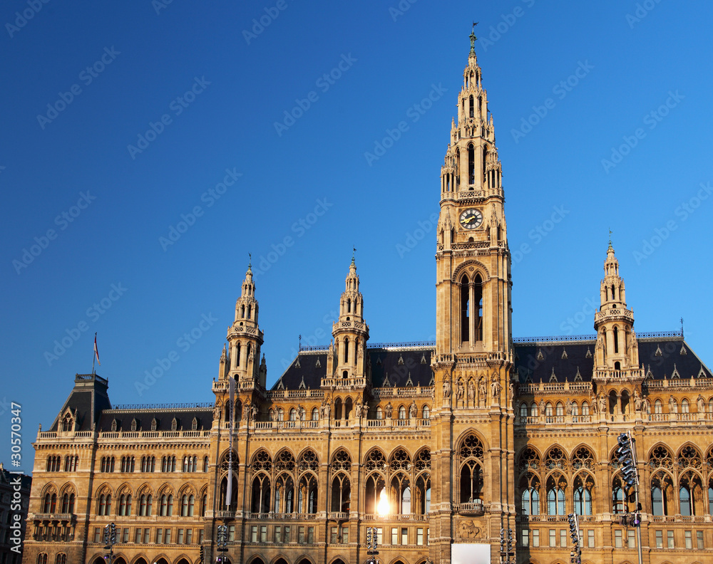 Vienna's City Hall