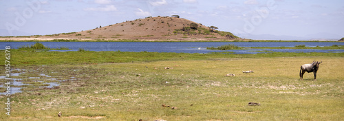 Amboseli National Park photo