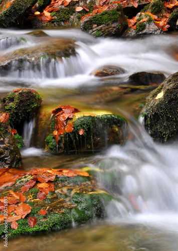 autumn creek in bohemia