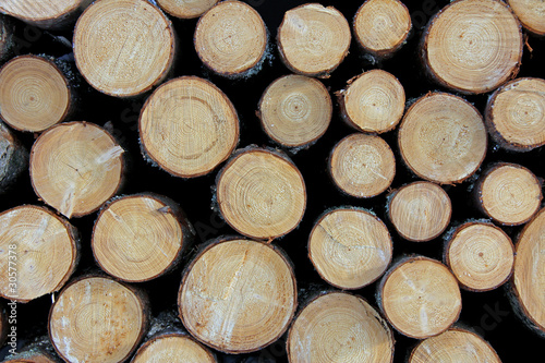 Cut Wooden Logs Background