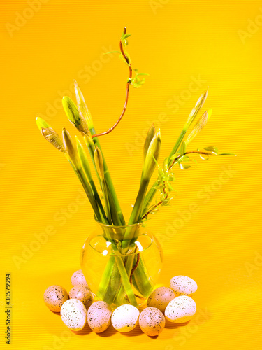 Daffodils in glass case with eggs photo