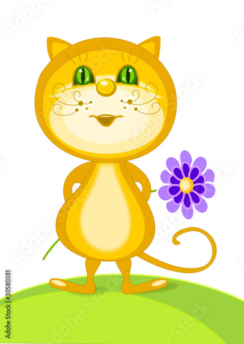 katze mit blume