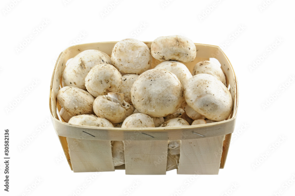 Champignons Champignons