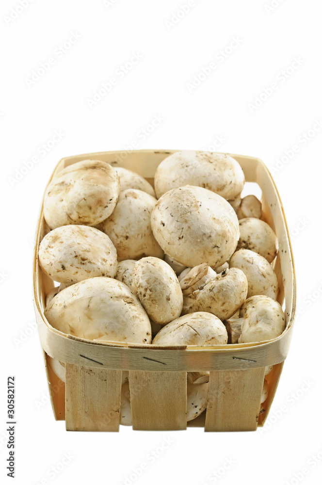 Champignons Champignons