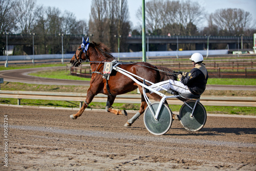 Harness Racing.Trotting horse. © EwaStudio